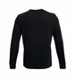 Лонгслив мужской Under Armour Rival Terry Black 1370404-001