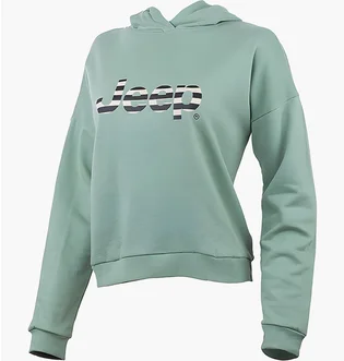 Худи мужское Jeep Hooded Cropped Sweatshirt Striped Print Turquoise O102609-E854