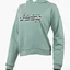Худи мужское Jeep Hooded Cropped Sweatshirt Striped Print Turquoise O102609-E854