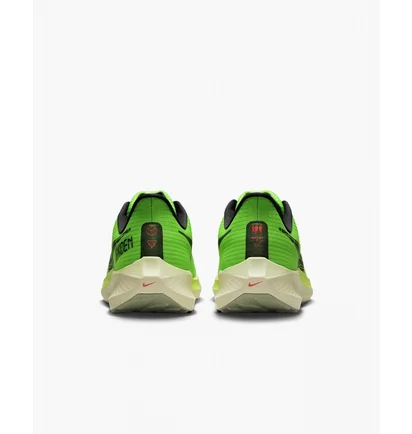Кроссовки мужские Nike Air Zoom Pegasus 39 Green Dz4776-343