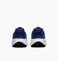 Кроссовки мужские Nike Revolution 7 Blue FB2207-406