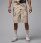Шорты мужские Air Jordan Pg Aop Beige HF9345-133