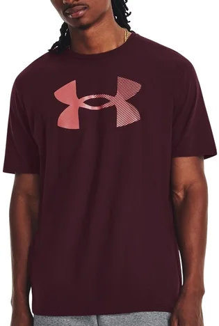 Футболка мужская Under Armour T-Shirt Ua Big Logo Fill Ss-Mrn Brown 1379451-600