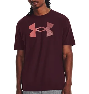 Футболка мужская Under Armour T-Shirt Ua Big Logo Fill Ss-Mrn Brown 1379451-600