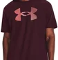 Футболка чоловіча Under Armour T-Shirt Ua Big Logo Fill Ss-Mrn Brown 1379451-600
