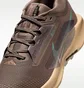 Кросівки унісекс Nike Pegasus Trail 5 Gtx Brown FQ0912-200