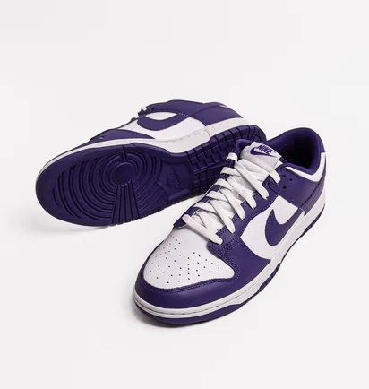 Кросівки чоловічі Nike Dunk Low Retro Violet/White DD1391-104