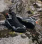 Ботинки мужские Adidas Eastrail 2.0 Mid Rain.Rdy Hiking Shoes Black IG8858