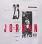 Футболка мужская Air Jordan Mreissue Gx Ss Crew White HJ2356-100