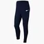 Штаны мужские Nike Park 20 Fleece Blue CW6907-451