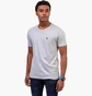 Футболка мужская U.S. Polo Assn Grey 113904-0400A-GREY