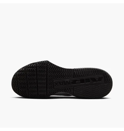 Кросівки чоловічі Nike Air Max Alpha Trainer 6 Grey FQ1833-011