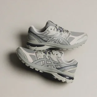 Кроссовки унисекс Asics Gel-Terrain Grey 1203A342-020