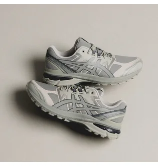 Кросівки унісекс Asics Gel-Terrain Grey 1203A342-020