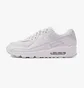 Кросівки чоловічі Nike Air Max 90 White CN8490-100