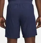 Шорты мужские Nike Dri-Fit Adv Paris Saint-Germain Match 2022/23 Blue DX2630-410