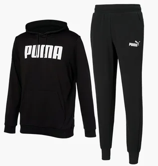 Спортивный костюм мужской Puma Essentials Logo Sweatpants & Hoodie Black 847228-01__586716-01