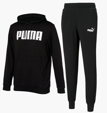 Спортивный костюм мужской Puma Essentials Logo Sweatpants & Hoodie Black 847228-01__586716-01