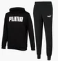Спортивный костюм мужской Puma Essentials Logo Sweatpants & Hoodie Black 847228-01__586716-01