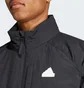 Куртка мужская Adidas City Escape Insulated Jacket Black IN7193
