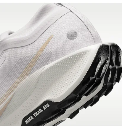 Кросівки чоловічі Nike Pegasus Trail 5 Beige FQ0908-010