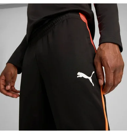 Штаны мужские Puma Individualliga Black 659517-07