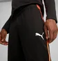 Штаны мужские Puma Individualliga Black 659517-07