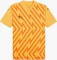 Футболка мужская Puma Teamglory Soccer Jersey Yellow 705740-61