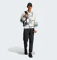 Толстовка чоловіча Adidas City Escape Full-Zip Hoodie Beige/Grey IN3707