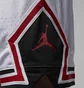 Шорты мужские Air Jordan Dri-Fit Sport White FD5957-100