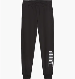 Штаны мужские Puma Ess+ Logo Lab Sweatpants Tr Cl Black 678980-01