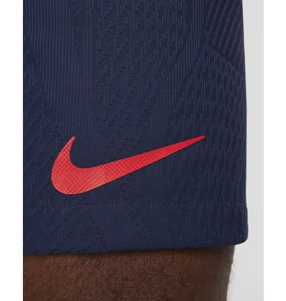 Шорты мужские Nike Dri-Fit Adv Paris Saint-Germain Match 2022/23 Blue DX2630-410