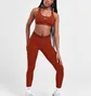Легінси жіночі Nike Pro 365 Brown CZ9779-832