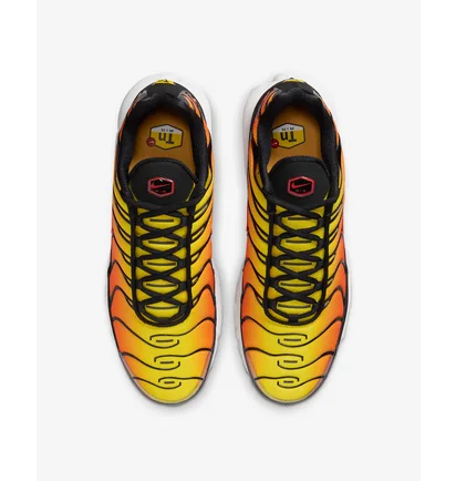 Кроссовки мужские Nike Air Max Plus 2024 Orange HF0552-001