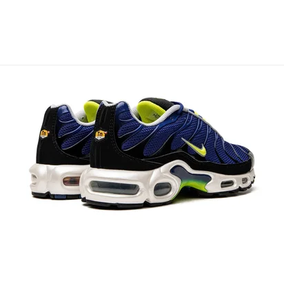 Кросівки чоловічі Nike Air Max Plus Blue DM0032-400