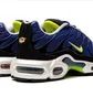 Кросівки чоловічі Nike Air Max Plus Blue DM0032-400