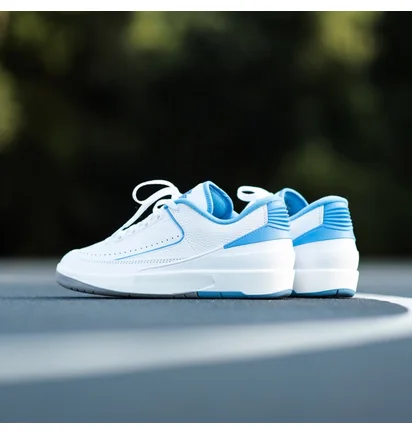 Кросівки чоловічі Air Jordan 2 Retro Low Unc White DV9956-104