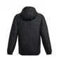 Куртка мужская Under Armour Cgi Down Lightweight Black 1378840-001