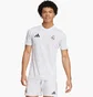 Футболка чоловіча Adidas Real Madrid Pre-Match White IT5101