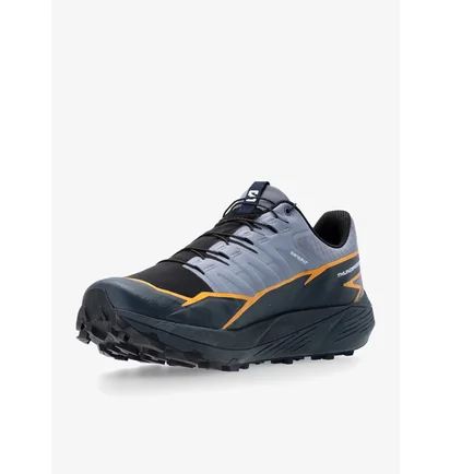 Кросівки чоловічі Salomon Thundercross Gtx Grey 473831