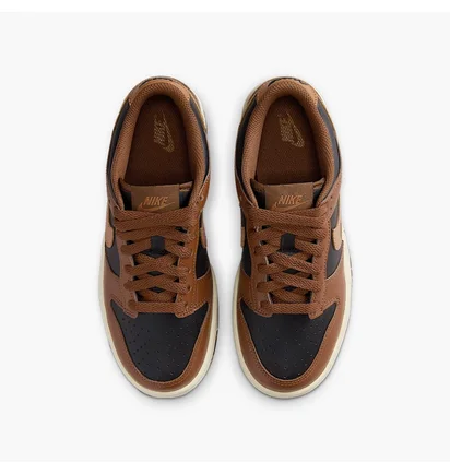 Кроссовки детские Nike Dunk Low Big Kids Shoes Brown FB9109-006