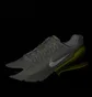 Кросівки чоловічі Nike Air Max Pulse Roam Beige DZ3544-200