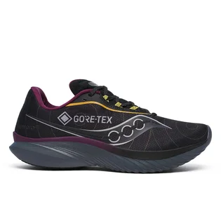 Кроссовки мужские Saucony Kinvara 15 Gtx Black S20969-250