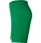 Шорты мужские Nike M Nk Df Park Iii Short Nb K Green BV6855-302