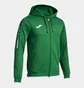 Толстовка мужская Joma Olimpiada Green 103707.450