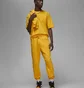 Штани чоловічі Air Jordan Wordmark Fleece Pant Yellow FJ0696-739