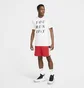 Футболка мужская Nike I Fly Crew Ss Tee White CZ2955-100