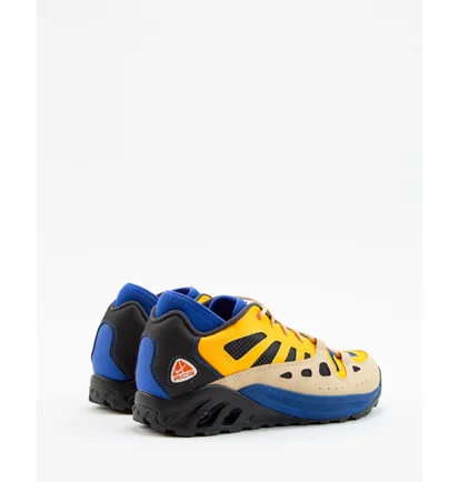 Кроссовки мужские Nike Acg Air Exploraid Hyper Royal Multi FJ1920-400