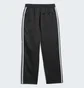 Штаны унисекс Adidas Skateboarding Sst Track Pant Black IJ0975