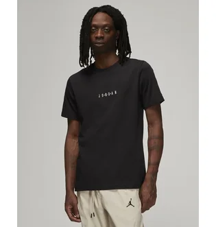 Футболка мужская Air Jordan Mens T-Shirt Black DM3182-010